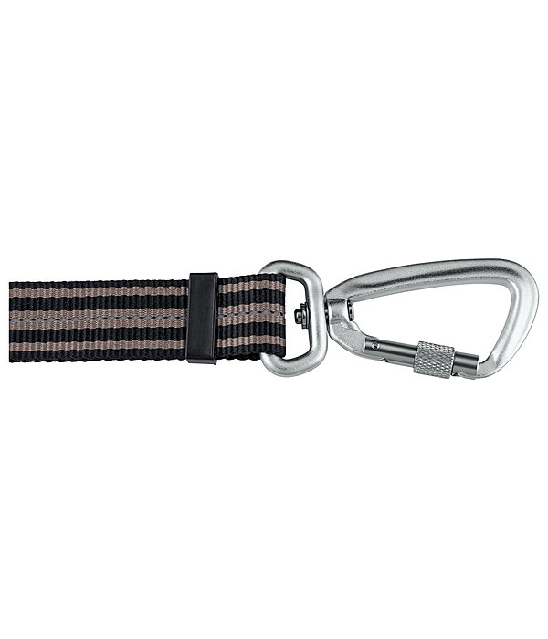 Laisse pour chien  Comfort Fit