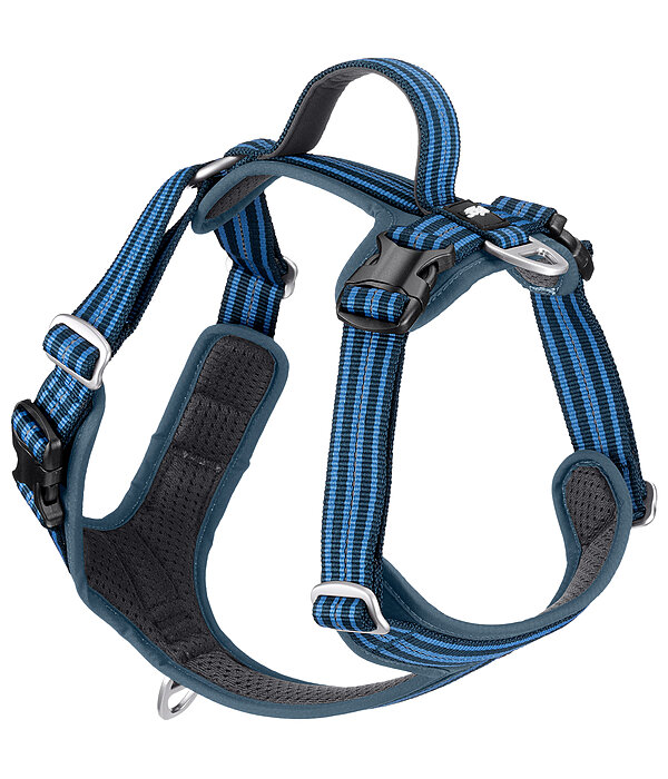 Harnais pour chien  Comfort Fit