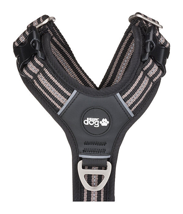 Harnais pour chien  Comfort Fit