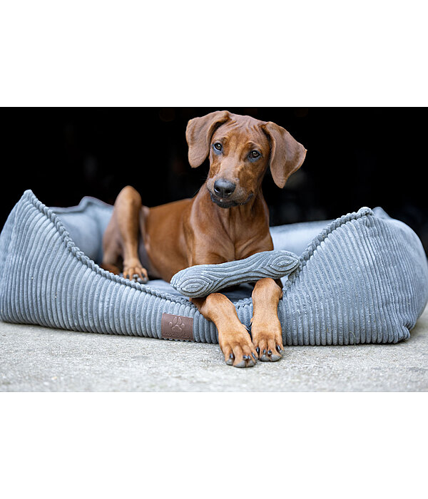 Jouet pour chien  Cord