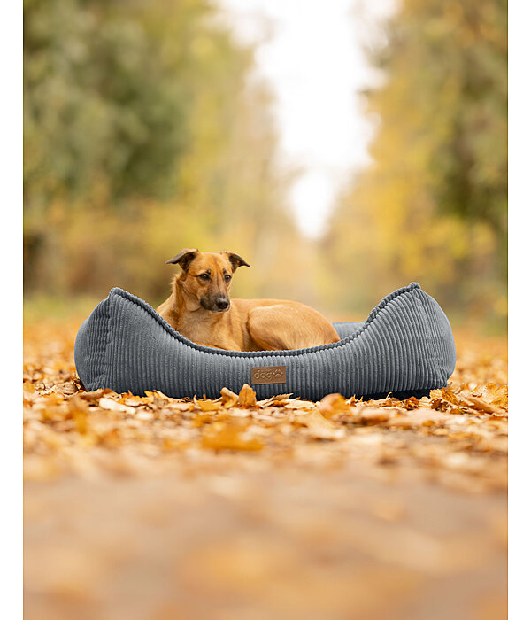 Panier pour chien  Cord