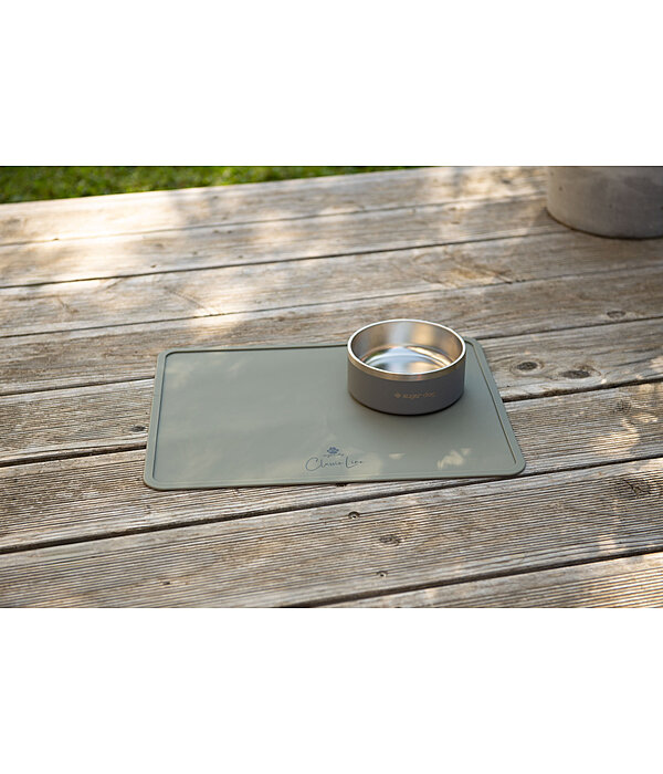 Gamelle en acier inoxydable