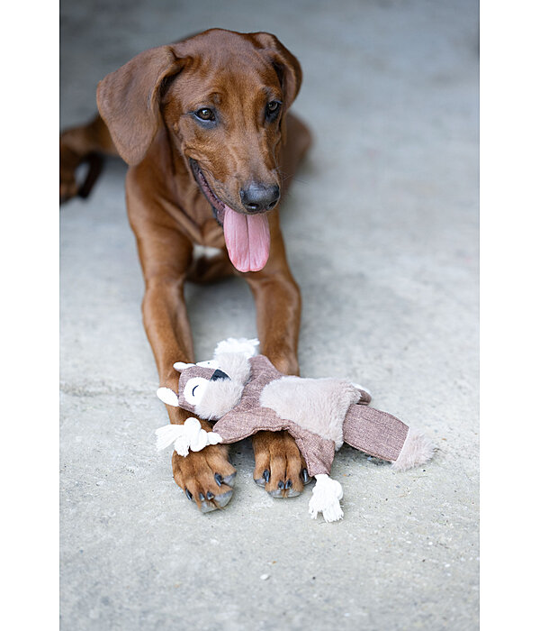 Jouet pour chien �cureuil