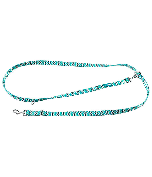 Ensemble collier et laisse  Zap