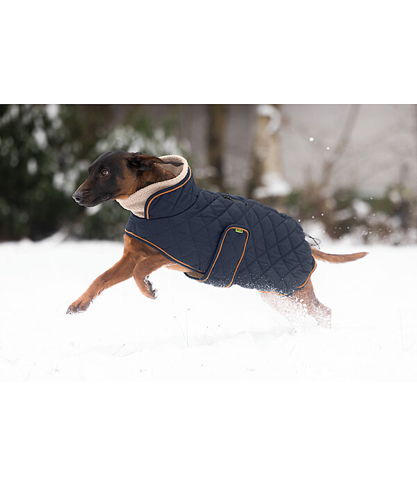 Manteau matelass� pour chien avec doublure en polaire Teddy  Holly