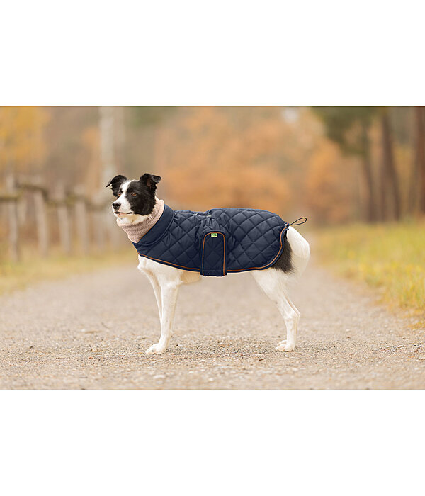 Manteau matelass� pour chien avec doublure en polaire Teddy  Holly