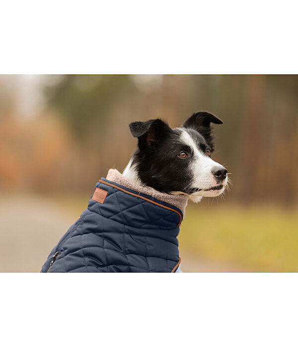 Manteau matelass� pour chien avec doublure en polaire Teddy  Holly