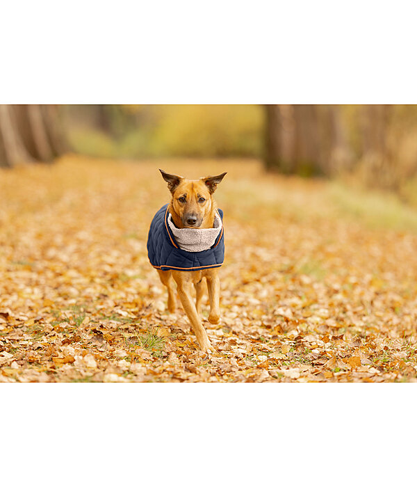 Manteau matelass� pour chien avec doublure en polaire Teddy  Holly