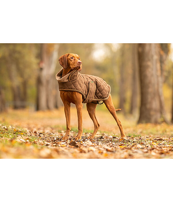 Manteau matelass� pour chien avec doublure en polaire Teddy  Holly