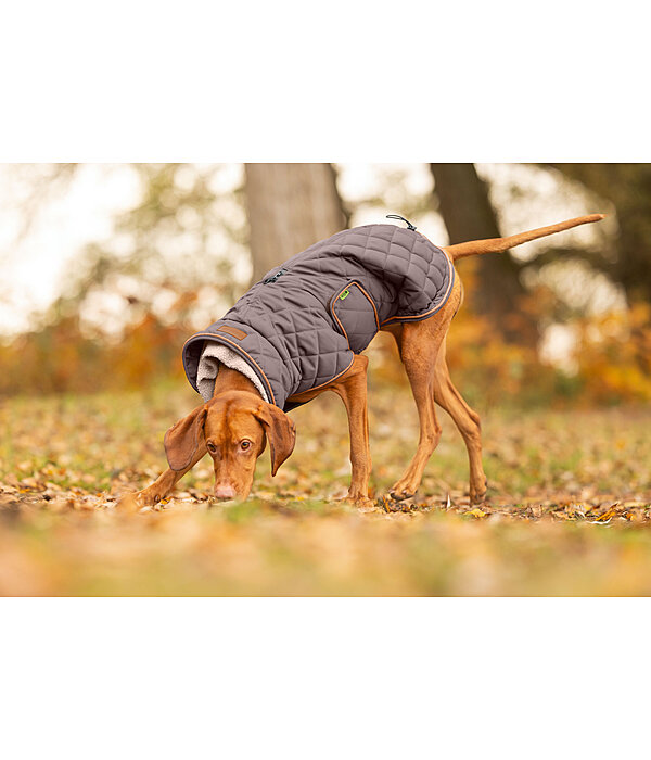 Manteau matelass� pour chien avec doublure en polaire Teddy  Holly