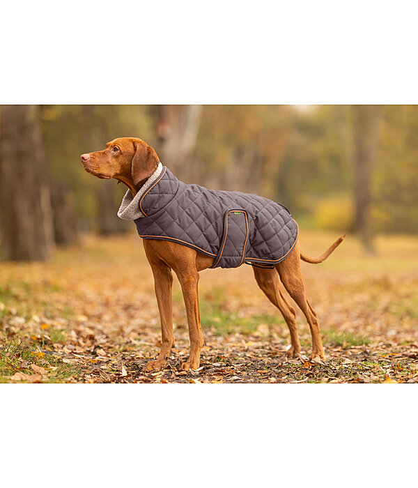 Manteau matelass� pour chien avec doublure en polaire Teddy  Holly