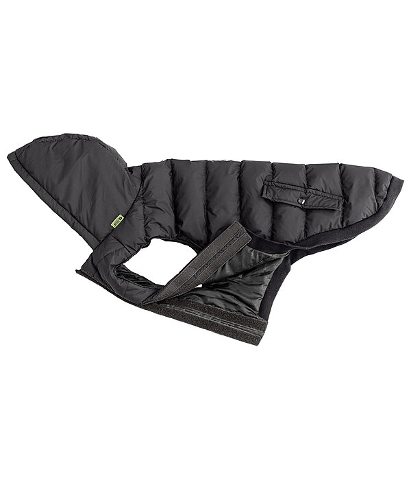 Veste d'hiver l�g�re pour chien  Anton