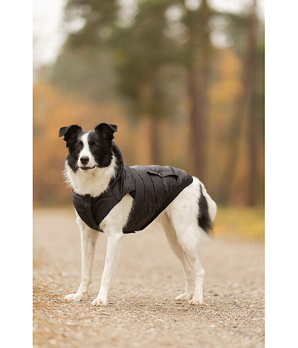 Veste d'hiver l�g�re pour chien  Anton