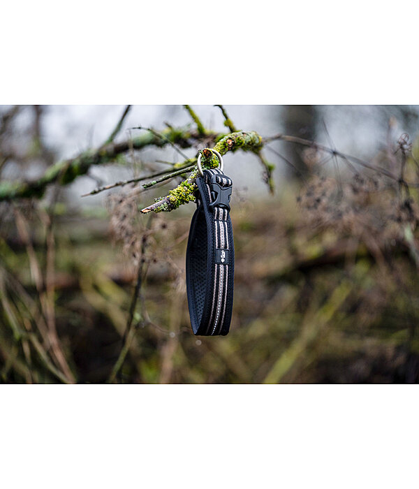 Collier pour chien  Comfort Fit