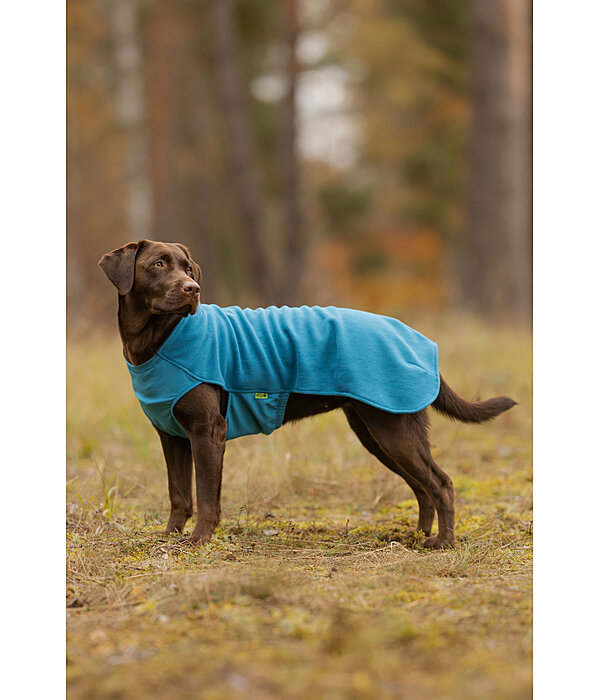 Pullover polaire pour chien  Basic