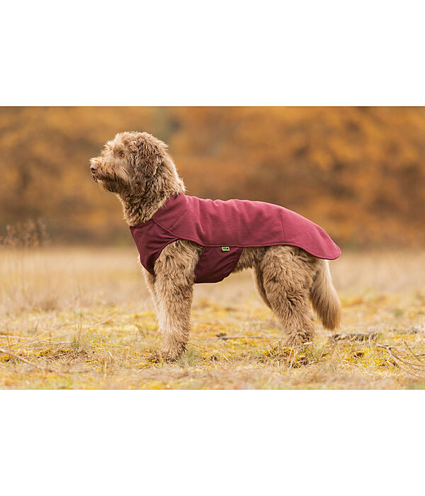 Pullover polaire pour chien  Basic
