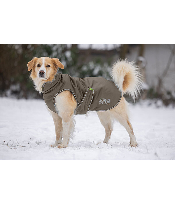 Manteau d'hiver pour chien  Archie Snow Drift, 200 g