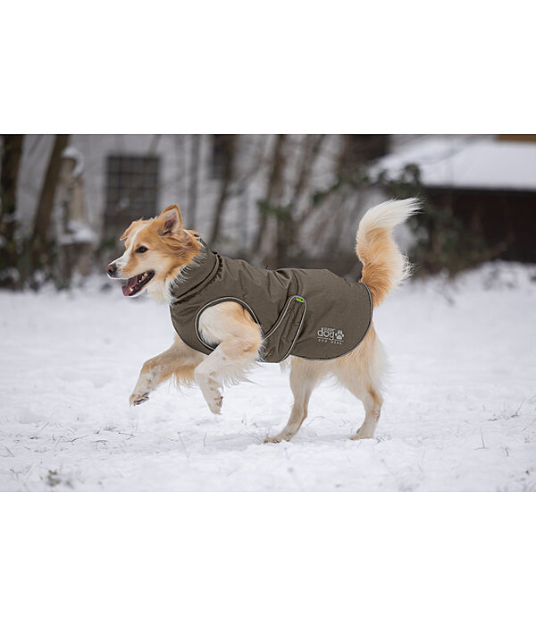 Manteau d'hiver pour chien  Archie Snow Drift, 200 g