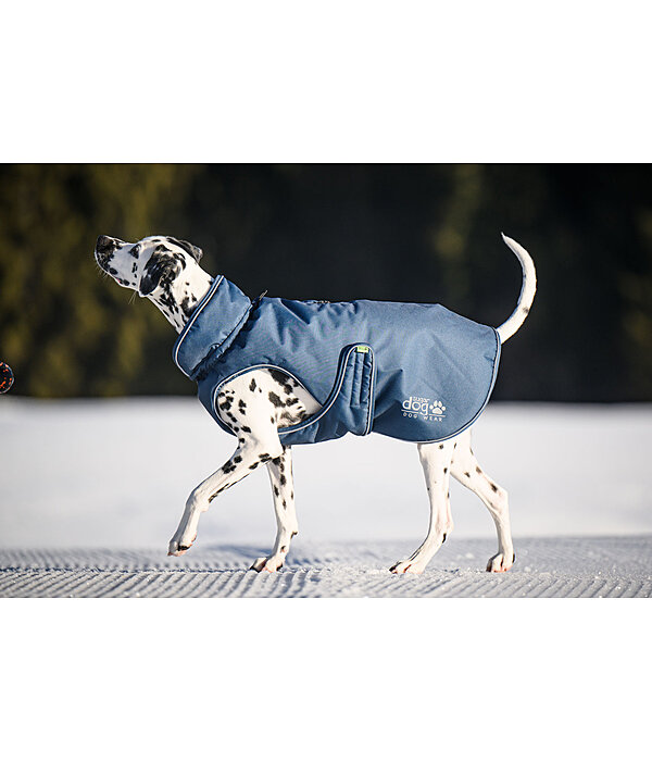 Manteau d'hiver pour chien  Archie Snow Drift, 200 g