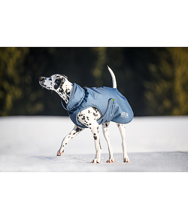 Manteau d'hiver pour chien  Archie Snow Drift, 200 g