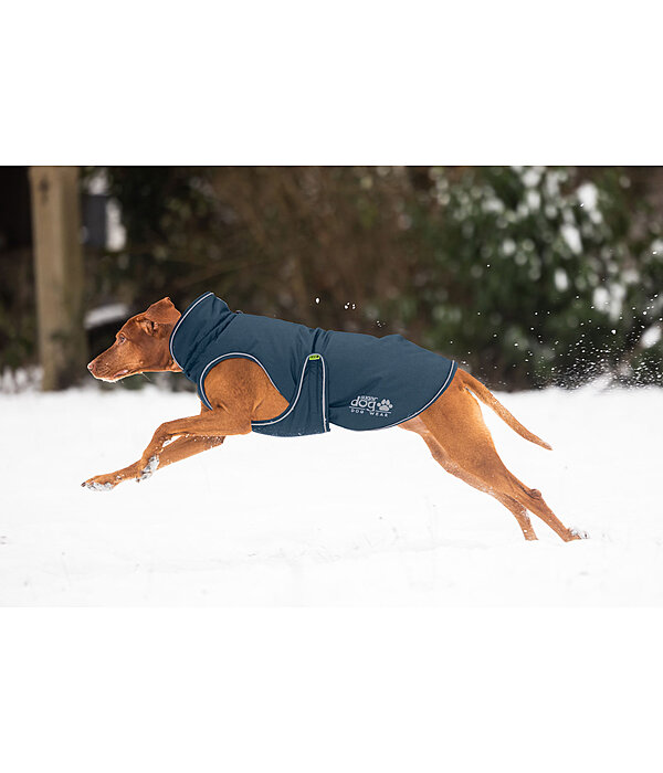 Manteau d'hiver pour chien  Archie Snow Drift, 200 g