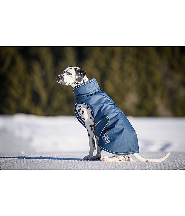 Manteau d'hiver pour chien  Archie Snow Drift, 200 g