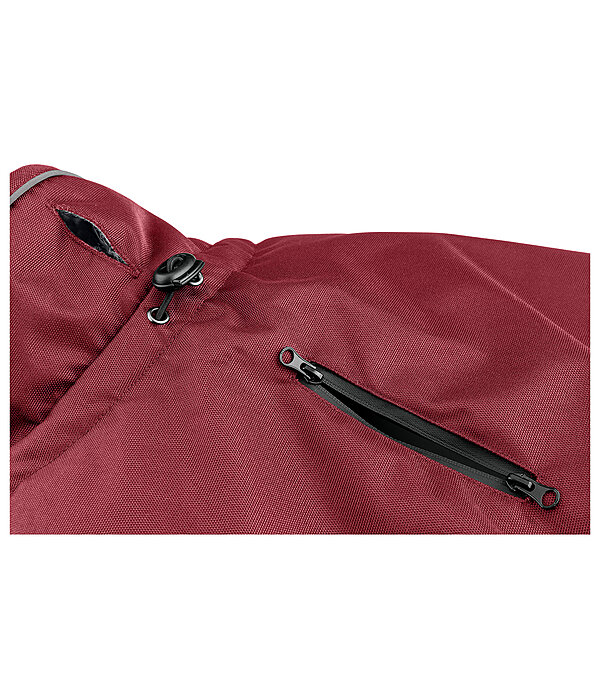 Manteau d'hiver pour chien  Archie Snow Drift, 200 g