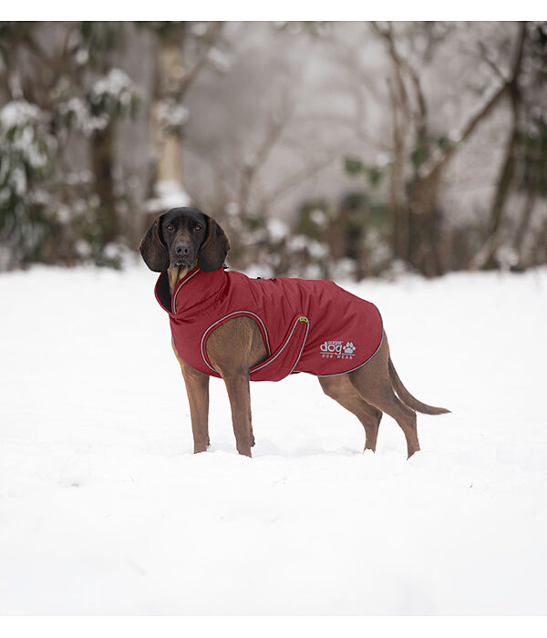 Manteau d'hiver pour chien  Archie Snow Drift, 200 g