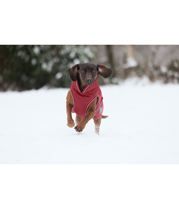 Manteau d'hiver pour chien  Archie Snow Drift, 200 g