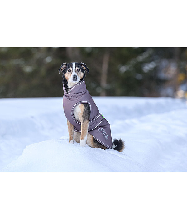 Manteau d'hiver pour chien  Archie Snow Drift, 200 g