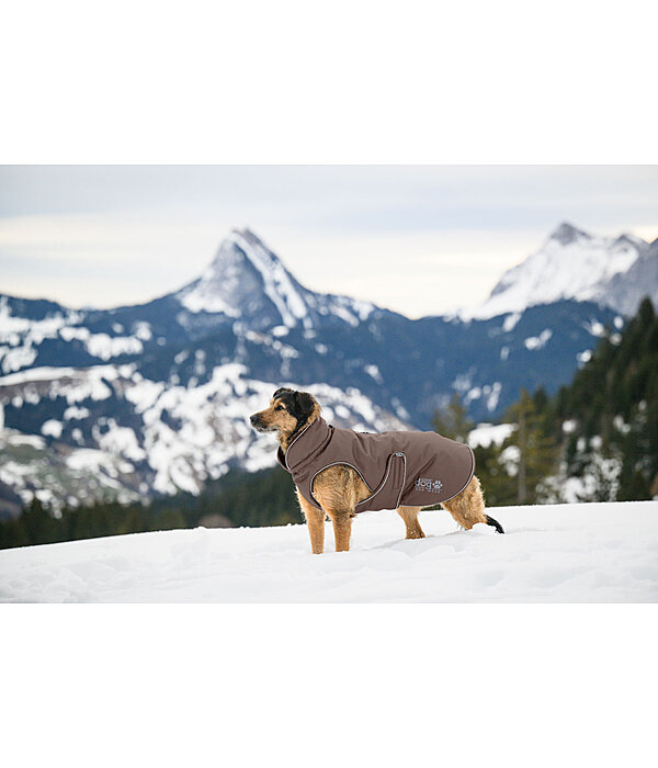 Manteau d'hiver pour chien  Archie Snow Drift, 200 g