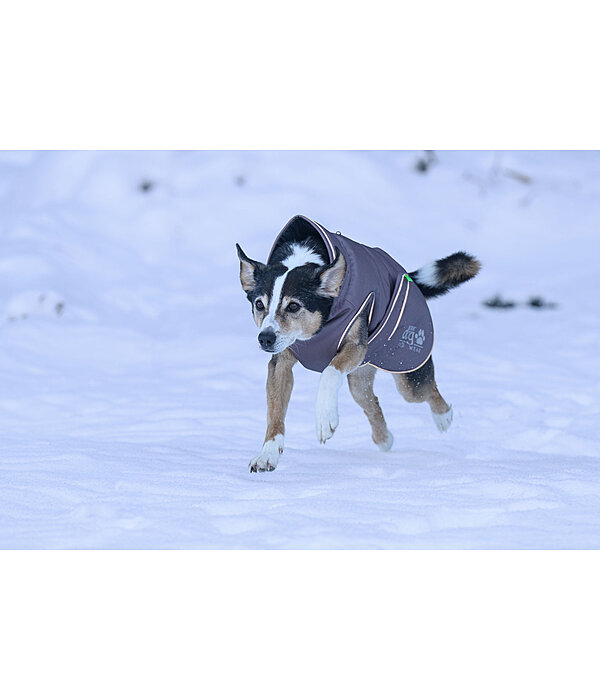 Manteau d'hiver pour chien  Archie Snow Drift, 200 g
