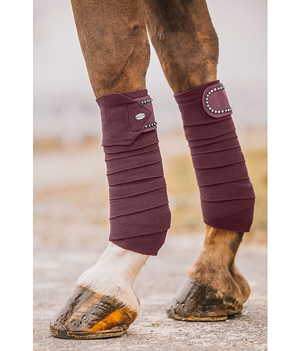 Bandes en polaire  Brilliant