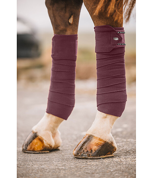 Bandes en polaire  Brilliant