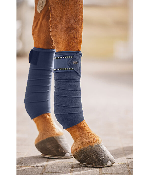 Bandes en polaire  Brilliant