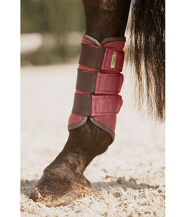 Gutres techniques  Swiss Design (Antrieurs)