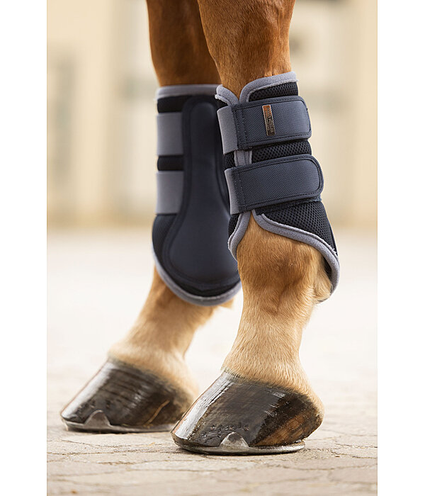 Gu�tres techniques  Swiss Design (Ant�rieurs)