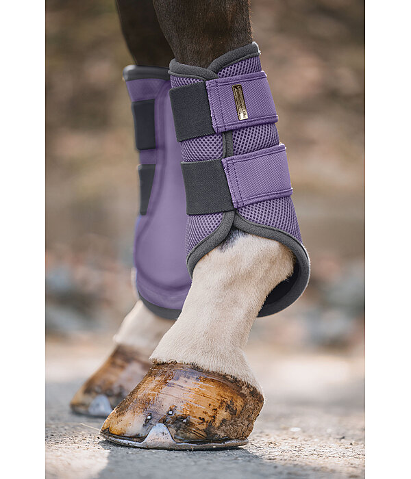 Gutres techniques  Swiss Design (Antrieurs)