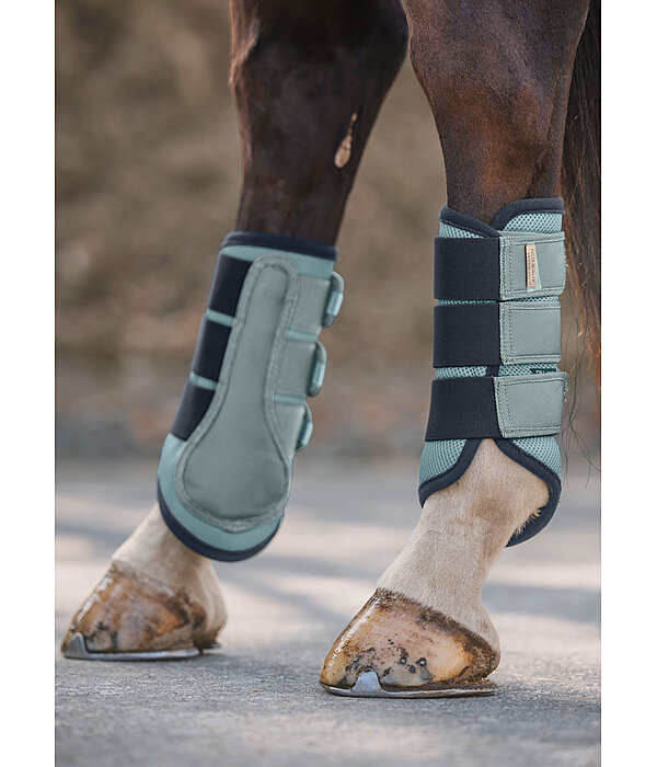 Gutres fonctionnelles  Swiss Design (Postrieurs)