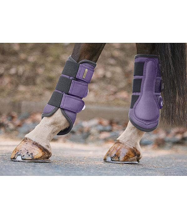 Gutres fonctionnelles  Swiss Design (Postrieurs)