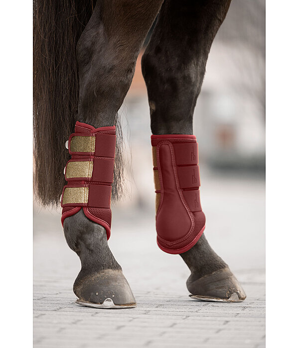 Gutres en mesh  Glitter, postrieurs