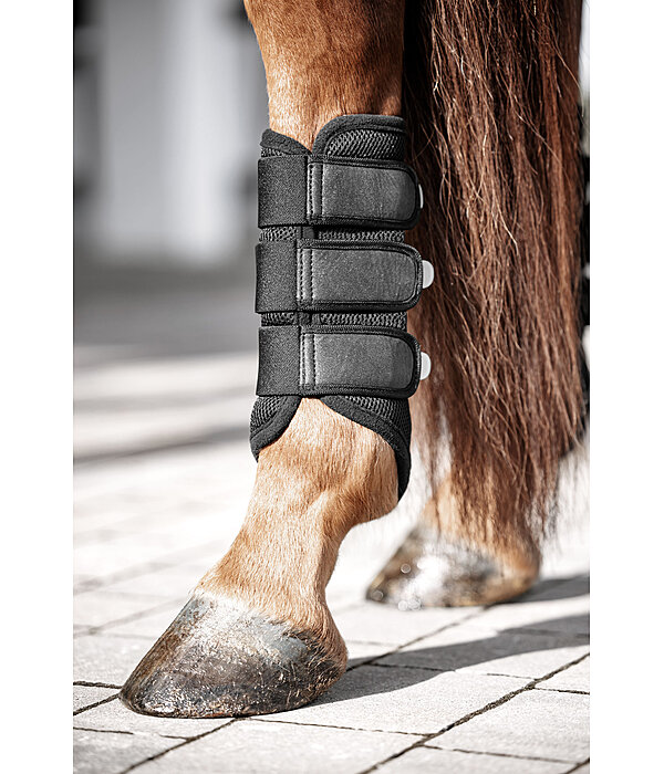 Gutres en mesh  Glitter, postrieurs