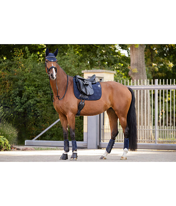 Gu�tres techniques  Mesh-Technology (ant�rieurs)