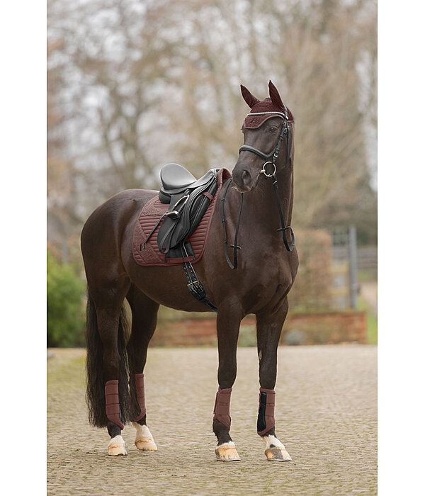 Gu�tres  Teddy, ant�rieurs