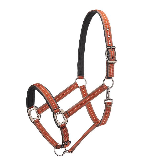 Licol  Swiss Design II