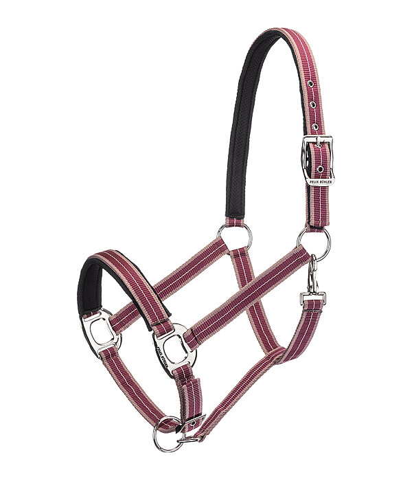 Licol  Swiss Design II