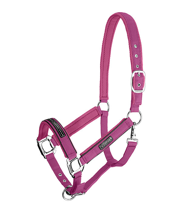 Licol  Mesh-Technology