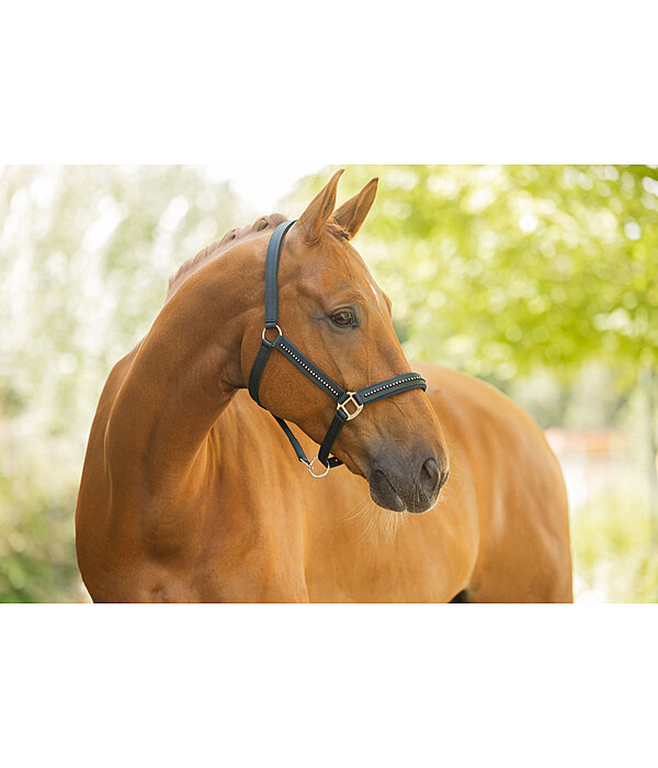 Licol  Twotone & Crystal