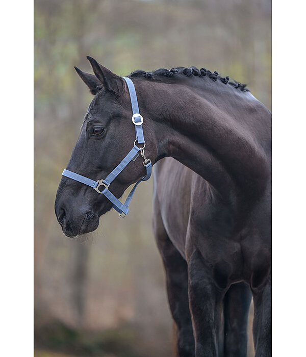 Licol en nylon  prix cass