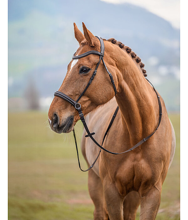 Bridon sans embouchure  Gentle Connection